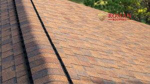 how to extend the life of your roof
